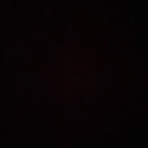 Meet your Posher, Layne